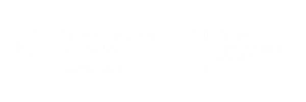 LOGO INP Transparent 600 X 200 Px - INP Alb